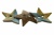 Деревянные украшения для рукоделия пуговицы "Кокос" #1 - купить в Нефтеюганске. Цена: 55.18 руб.