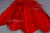 Декоративный Пучок из перьев, перо 23см/красный - купить в Нефтеюганске. Цена: 11.16 руб.