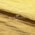 Текстильный материал "Диско"#1805 с покрытием РЕТ, 40гр/м2, 100% полиэстер, цв.5-золото - купить в Нефтеюганске. Цена 412.36 руб.