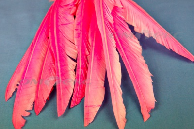 Декоративный Пучок из перьев, перо 25см/розовый - купить в Нефтеюганске. Цена: 14.40 руб.