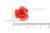 Украшение "Розы малые №1" 20мм - купить в Нефтеюганске. Цена: 32.49 руб.
