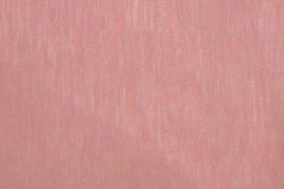 Органза однотонная "Амелия" С19 (Розовый) 280 см - купить в Нефтеюганске. Цена 303.09 руб.