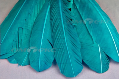 Декоративный Пучок из перьев, перо 24см/голубой - купить в Нефтеюганске. Цена: 12.19 руб.