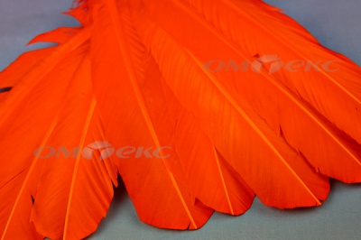 Декоративный Пучок из перьев, перо 24см/оранжевый - купить в Нефтеюганске. Цена: 12.19 руб.