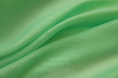 Портьерный капрон 15-6123, 47 гр/м2, шир.300см, цвет св.зелёный - купить в Нефтеюганске. Цена 137.27 руб.