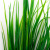 Трава искусственная -2, шт (осока 41см/8 см)				 - купить в Нефтеюганске. Цена: 104.57 руб.