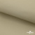 Ткань подкладочная TWILL 230T 14-1108, беж светлый 100% полиэстер,66 г/м2, шир.150 cм - купить в Нефтеюганске. Цена 90.59 руб.