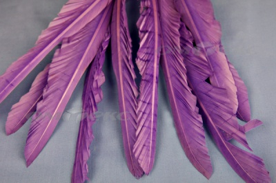 Декоративный Пучок из перьев, перо 25см/фиолетовый - купить в Нефтеюганске. Цена: 12.19 руб.