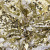 Трикотажное полотно, Сетка с пайетками, шир.130 см, #315, цв.-белый/золото - купить в Нефтеюганске. Цена 693.39 руб.