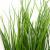 Трава искусственная -4, шт  (осока 50 см/8 см  7 листов)				 - купить в Нефтеюганске. Цена: 130.73 руб.