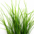 Трава искусственная -3, шт (осока 50 см/8 см  5 листов)				 - купить в Нефтеюганске. Цена: 124.17 руб.